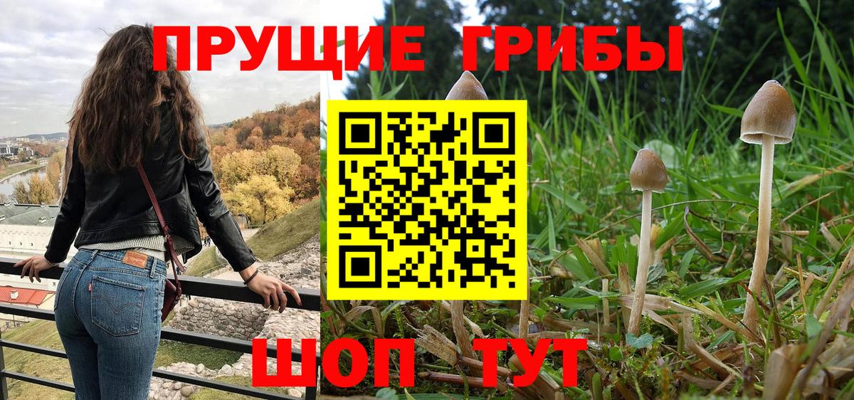 Урус-Мартан  Псилоцибиновые грибы мухоморы  Вход с VPN  Галлюциногенные грибы мицелий 